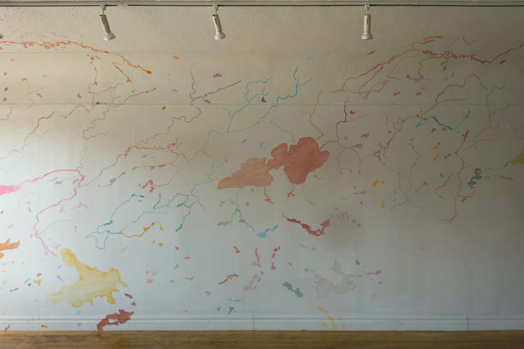 Painting on all the flat surfaces of the gallery more than three hundred lakes and water sources we are overwhelm by the amount of lakes floating on the gallery walls